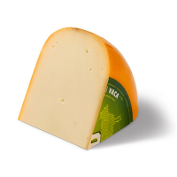 Morceau de jeune Gouda