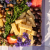 Henri Willig Biologische Koekaas met Truffel 380 gram