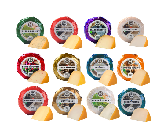 Twelve baby cheeses, each with a piece of cheese in front of it.