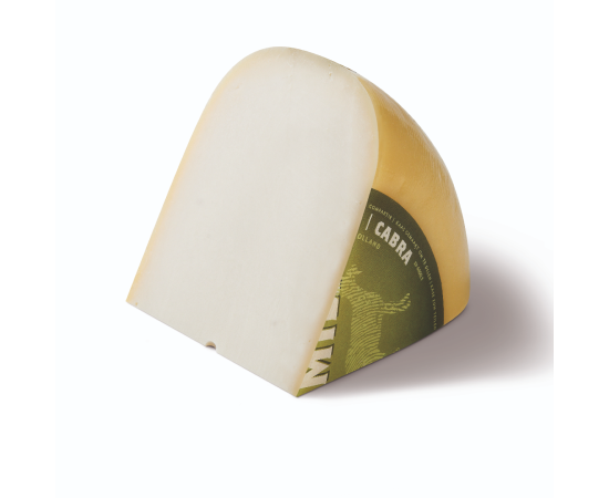 Morceau de jeune fromage de chèvre biologique