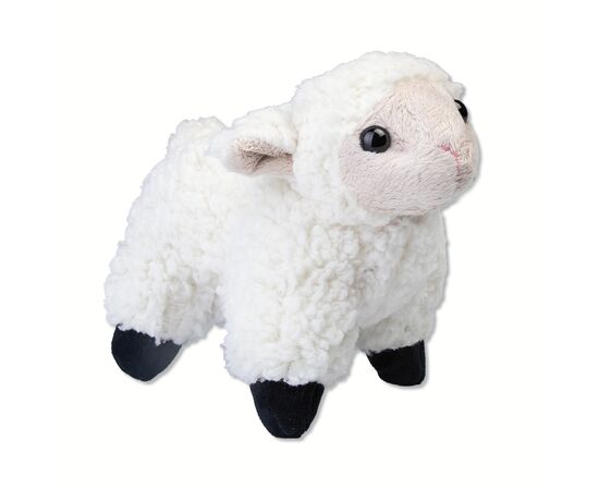 Cuddly sheep big