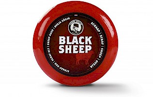 Black Sheep, Schaf Alt
