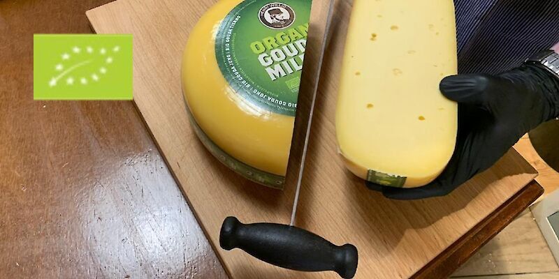 The best organic cheese
