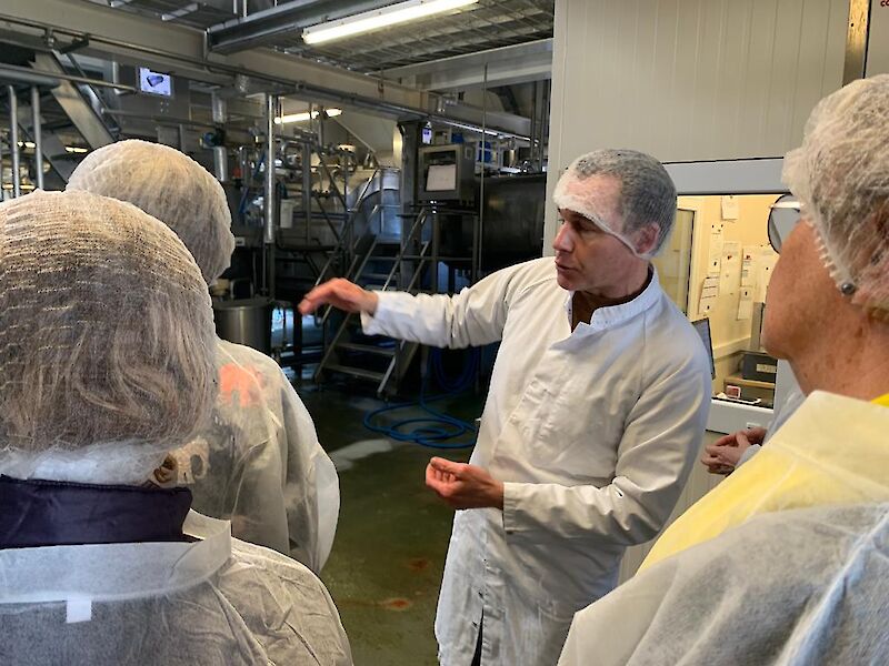 Guided tour of Henri Willig Cheese factory