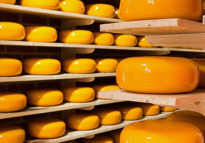 Notre magie du fromage - produit avec passion, adapté aux végétariens