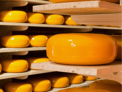 Tout ce que vous ne saviez pas sur le fromage Gouda : origines, goût et plus encore