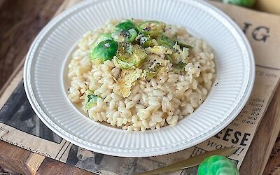 Trüffelrisotto mit gehobeltem Rosenkohl