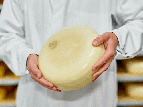 Ist Käse vegetarisch? Oder ist da mehr dran?